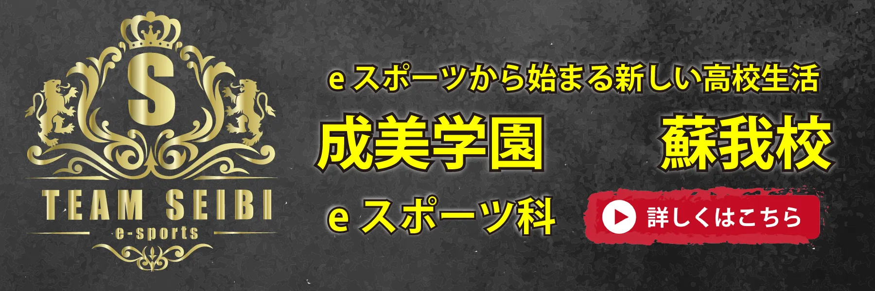 成美学園蘇我校のeスポーツ学科